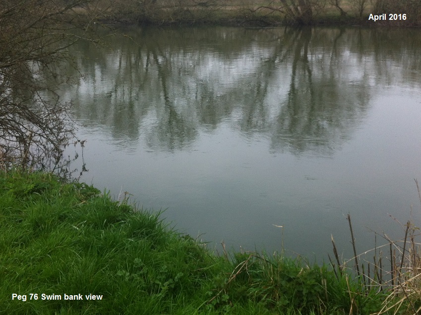 SPRING BANK VIEW